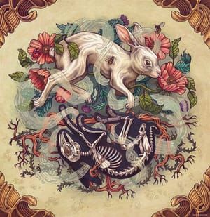 Artwork Title: Dust Bunny