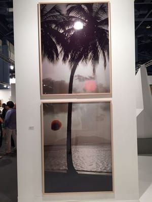 Artwork Title: Rising Sun, Falling Coconut