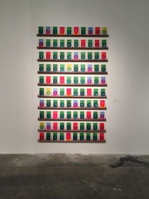 Artwork Title: Libros Baleados