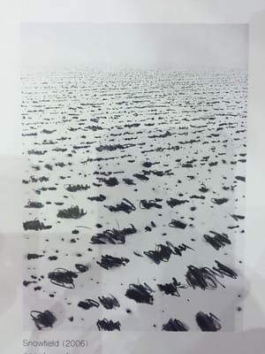 Artwork Title: Snowfield