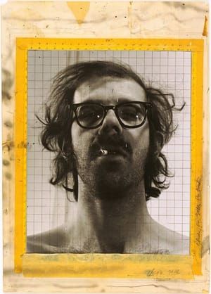 Artwork Title: Source image for 'Big Self Portrait'