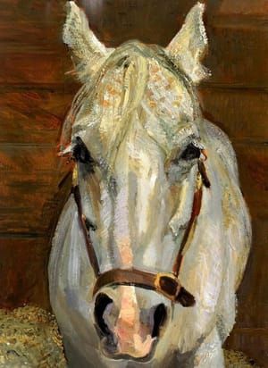 Artwork Title: Grey Gelding