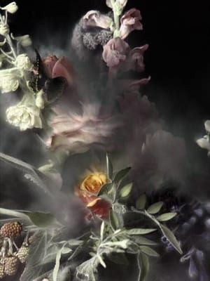 Artwork Title: Untitled