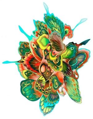 Artwork Title: OVM Butterfly