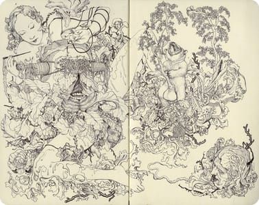 Artwork Title: Tanuki