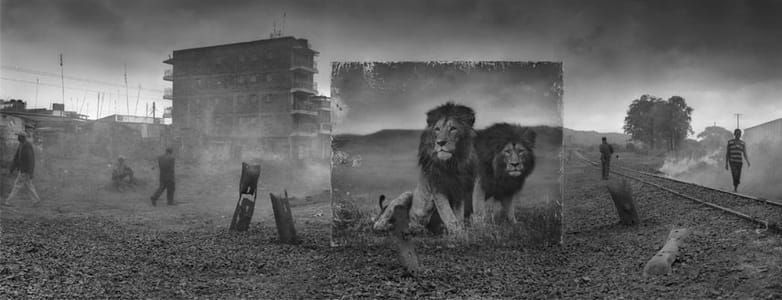 Artwork Title: Untitled