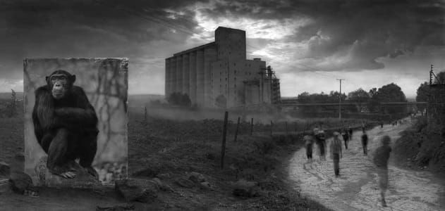 Artwork Title: Factory with Chimpansee