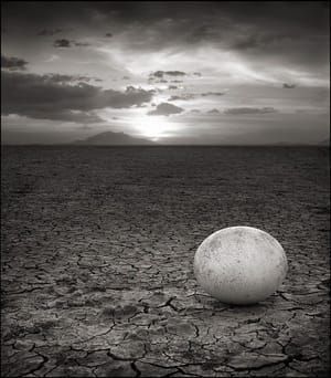 Artwork Title: Untitled