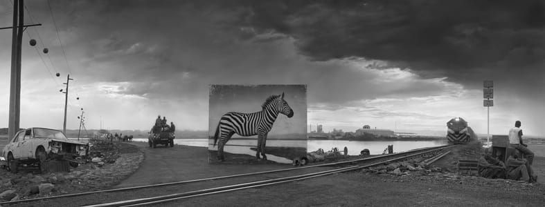 Artwork Title: Untitled