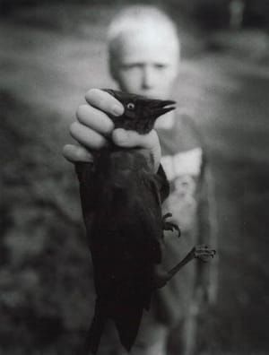 Artwork Title: Bird