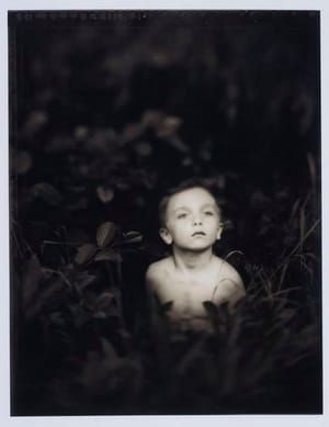 Artwork Title: Untitled