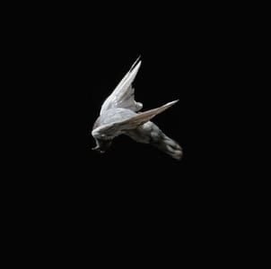 Artwork Title: Miserere #6