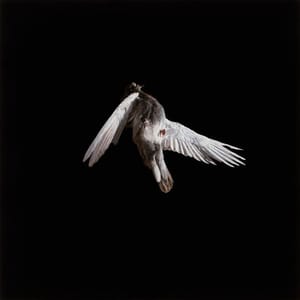 Artwork Title: Miserere #4