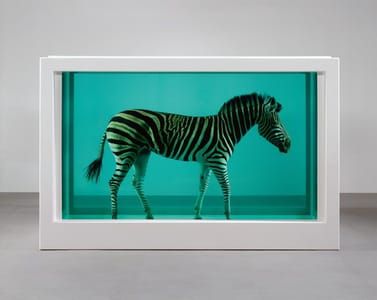 Artwork Title: Zebra