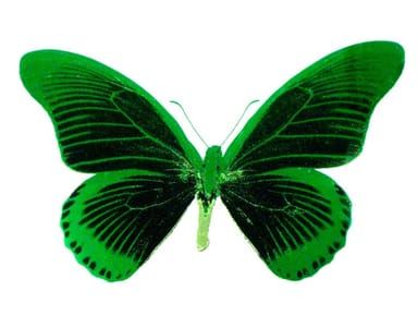Artwork Title: Butterfly