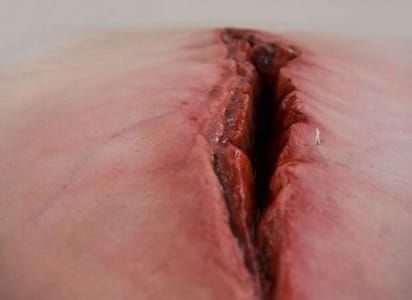 Artwork Title: Flesh