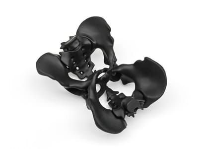 Artwork Title: Coccyx Double