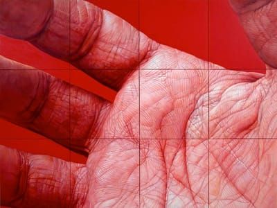 Artwork Title: Flesh Field In 12 Panels