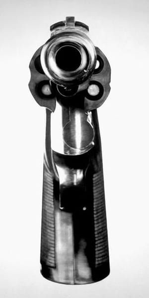 Artwork Title: .38 Special From 