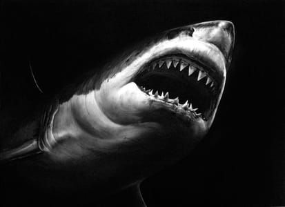 Artwork Title: Untitled (claudius)