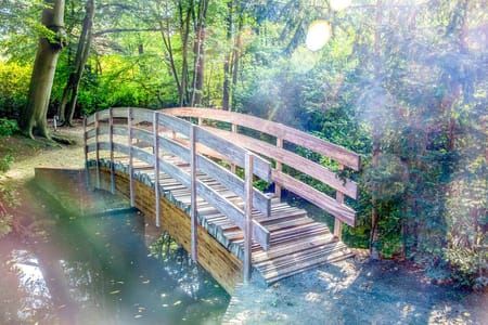 Artwork Title: Bridge