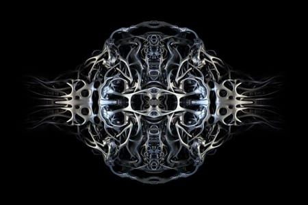 Artwork Title: Agriemys