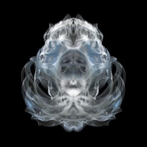 Artwork Title: Noitox