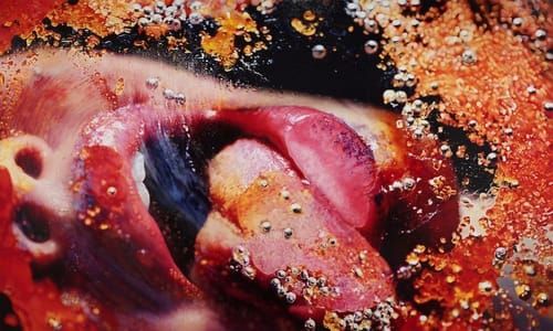Artwork Title: Untitled