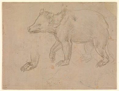 Artwork Title: A Bear Walking