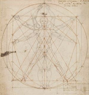 Artwork Title: Anatomical Drawings, Codex Huygens