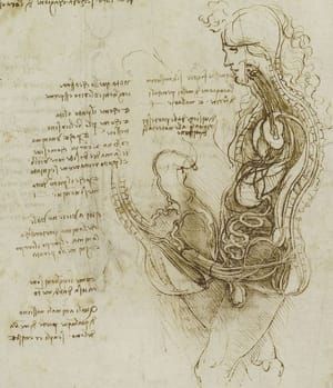 Artwork Title: hemisected man and woman in coition. (From folio RL 19097v)