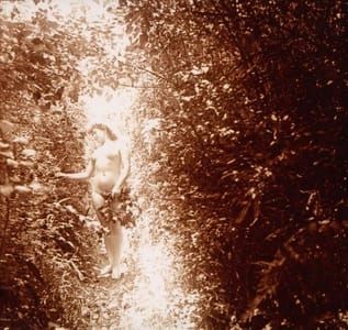 Artwork Title: Rare Old Stereophoto Nudism Belle Epoque