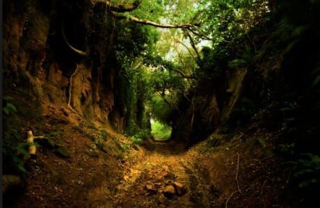 Artwork Title: Holloway