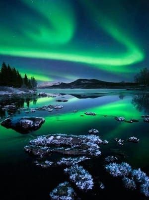 Artwork Title: Alaskan Auroa Borealia