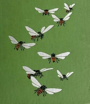 Artwork Title: Book cover, detail. The Book of Bugs