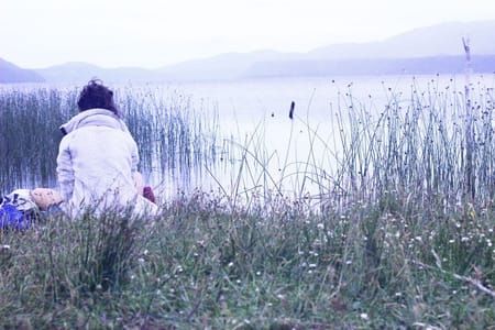 Artwork Title: Untitled