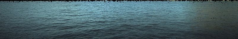 Artwork Title: Untitled
