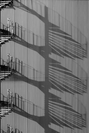 Artwork Title: Eyekilling in Curves