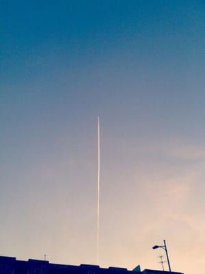 Artwork Title: Untitled