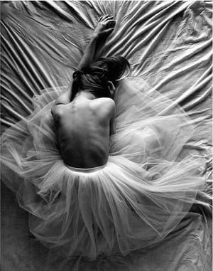 Artwork Title: Untitled