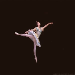 Artwork Title: Marie-Agnes Gillot as Lilac Fairy in Sleeping Beauty