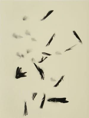 Artwork Title: Untitled
