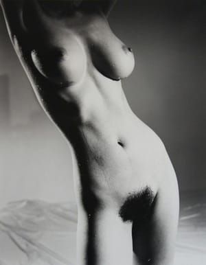 Artwork Title: Untitled