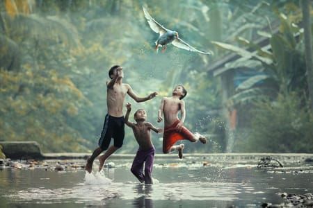 Artwork Title: Let's Fly With Me