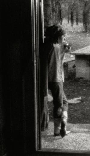 Artwork Title: Untitled Film Still #61
