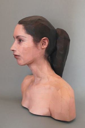 Artwork Title: Rozemarijn Lucassen