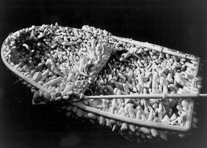 Artwork Title: Boat