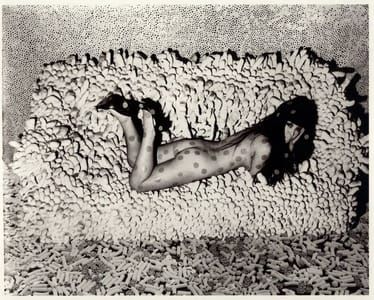 Artwork Title: Untitled