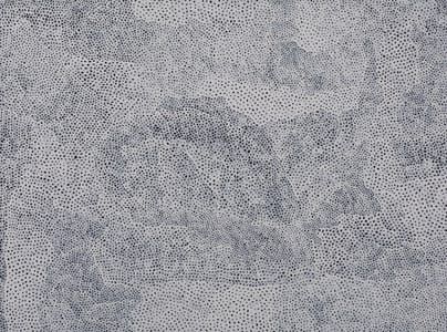 Artwork Title: Infinity Nets [fbb]