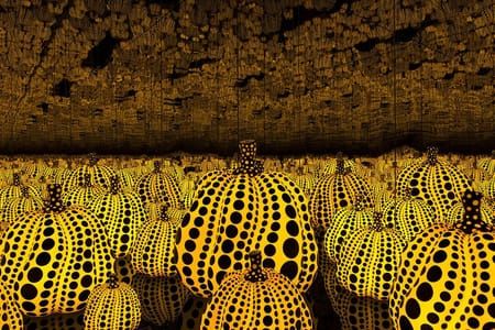 Artwork Title: Infinity Mirrors